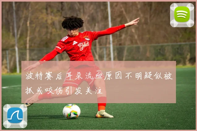 波特赛后耳朵流血原因不明疑似被抓或咬伤引发关注