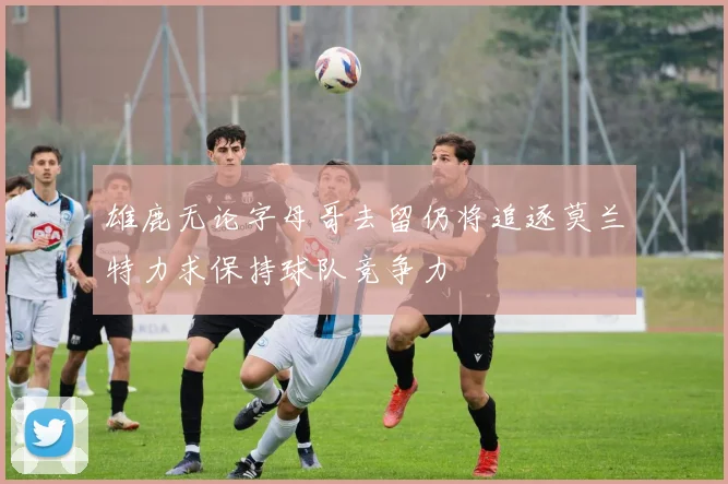 雄鹿无论字母哥去留仍将追逐莫兰特力求保持球队竞争力