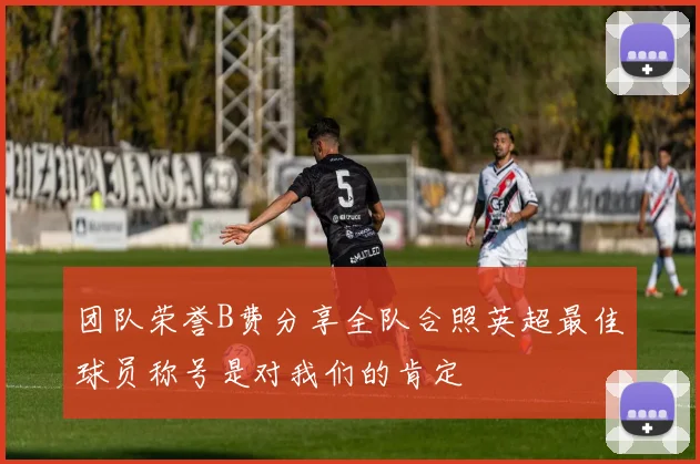 团队荣誉B费分享全队合照英超最佳球员称号是对我们的肯定
