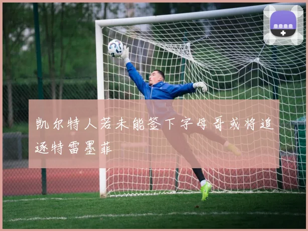 凯尔特人若未能签下字母哥或将追逐特雷墨菲