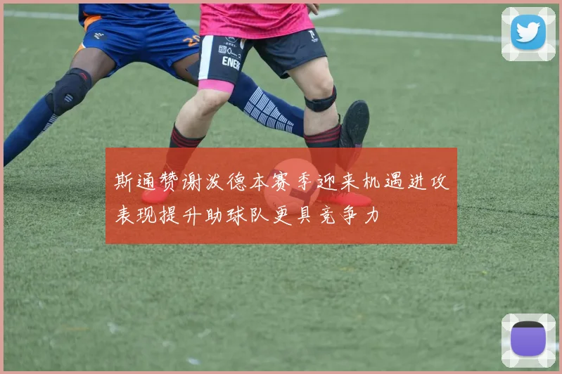 斯通赞谢泼德本赛季迎来机遇进攻表现提升助球队更具竞争力